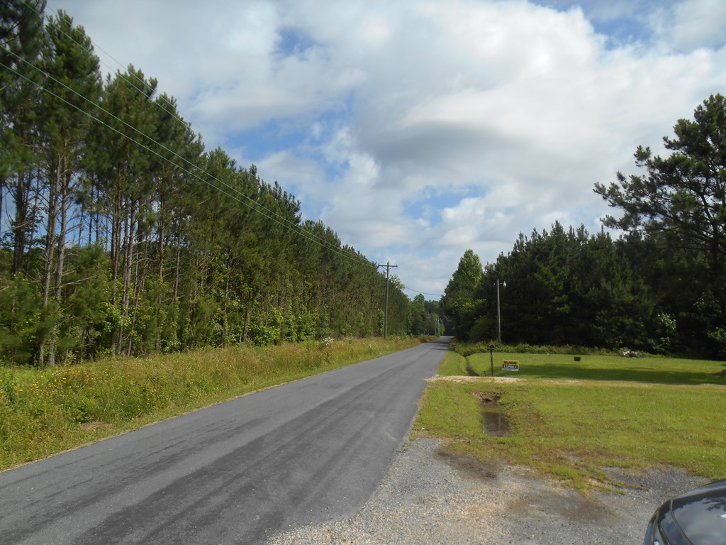 0 Logan Road Onley, VA 23418 - Photo 12 of 12