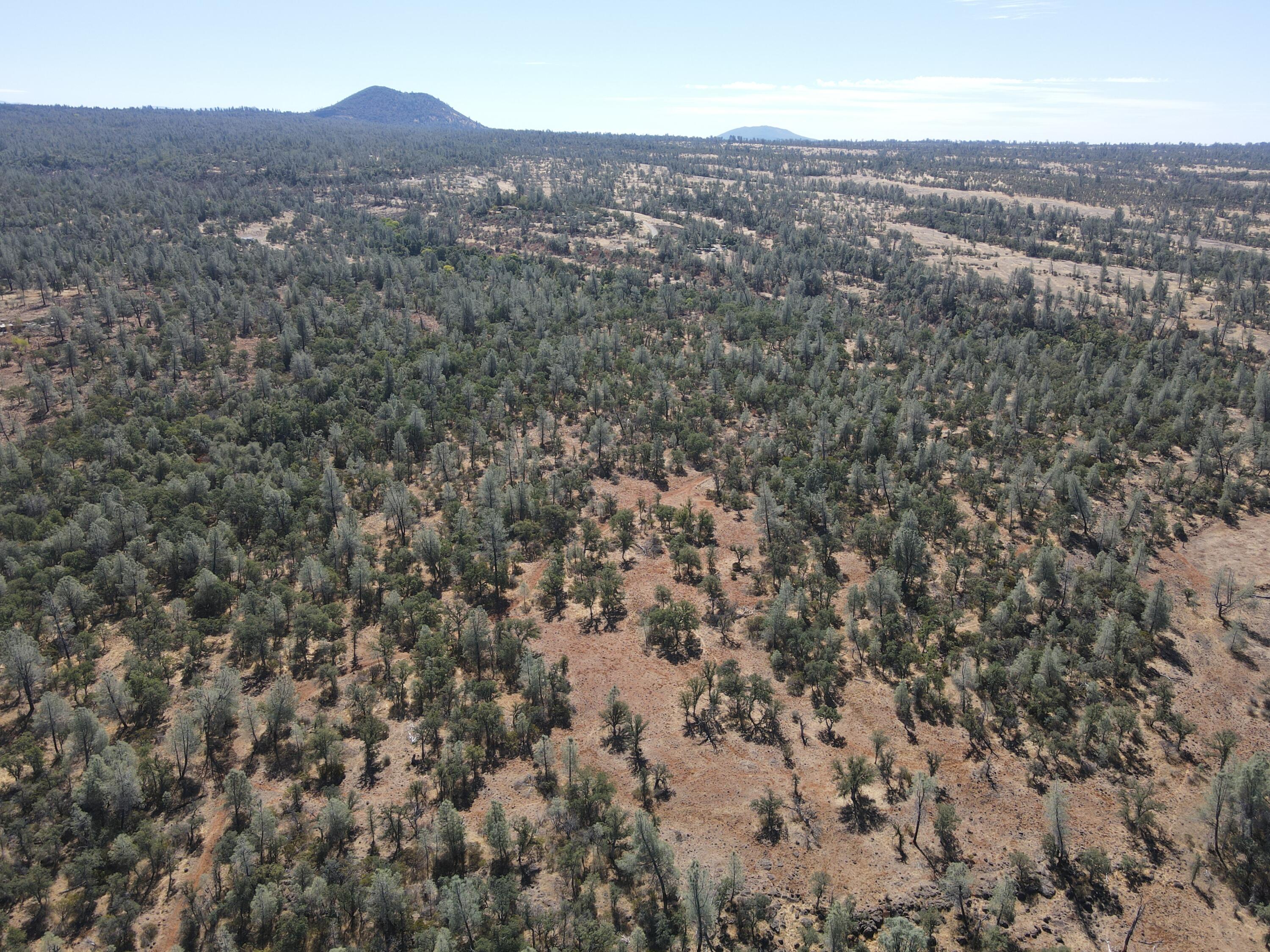 Nsa Dersch Road Shingletown, CA 96088 - Photo 44 of 56 DJI_0655