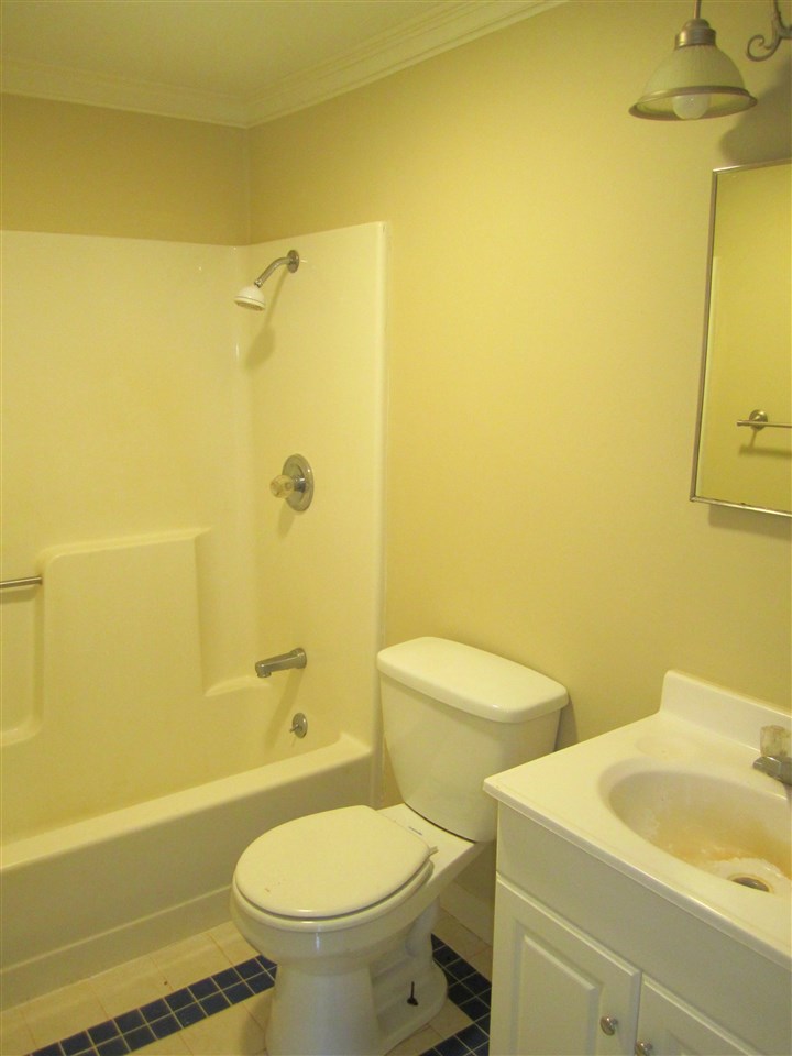 5576 Buckner Road Bumpass, VA 23024 - Photo 7 of 12 a bathroom with a toilet sink and a bathtub