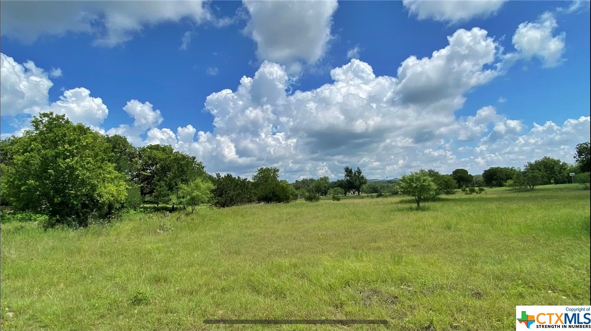 109 Rio Grande Drive Blanco, TX 78606 - Photo 4 of 20