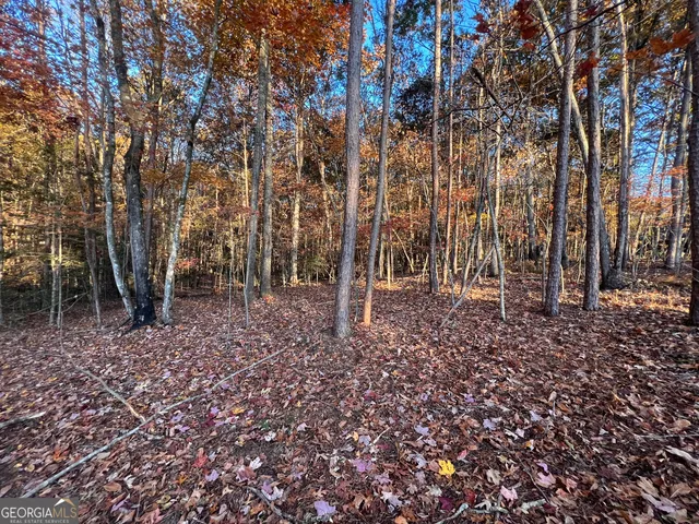 $725,000 | 206 Shoals Way, Clarkesville, GA 30523