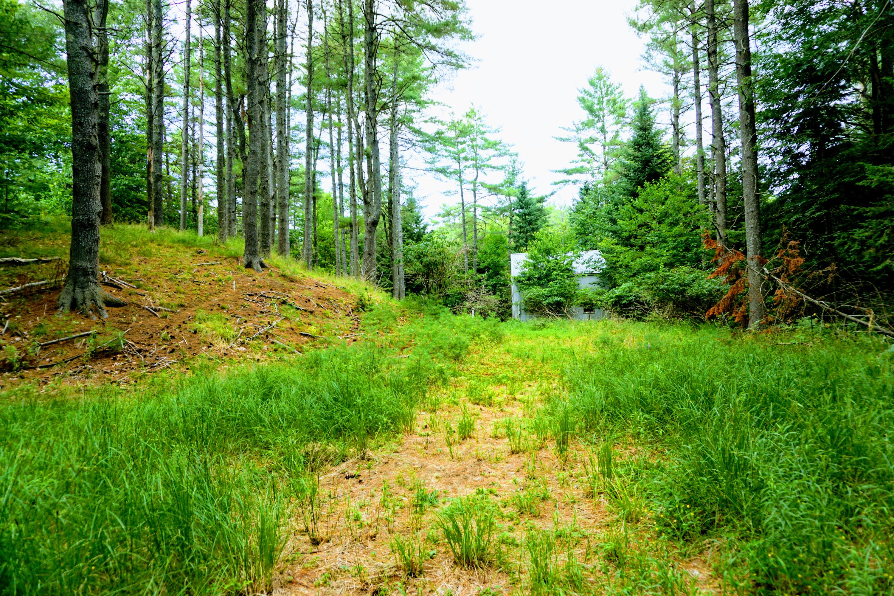 117 Moody Road Lisbon, ME 04250 - Photo 43 of 46 43