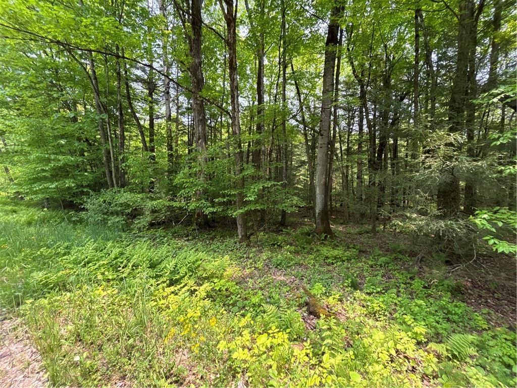 Spring Road South Dansville, NY 14437 - Photo 9 of 11
