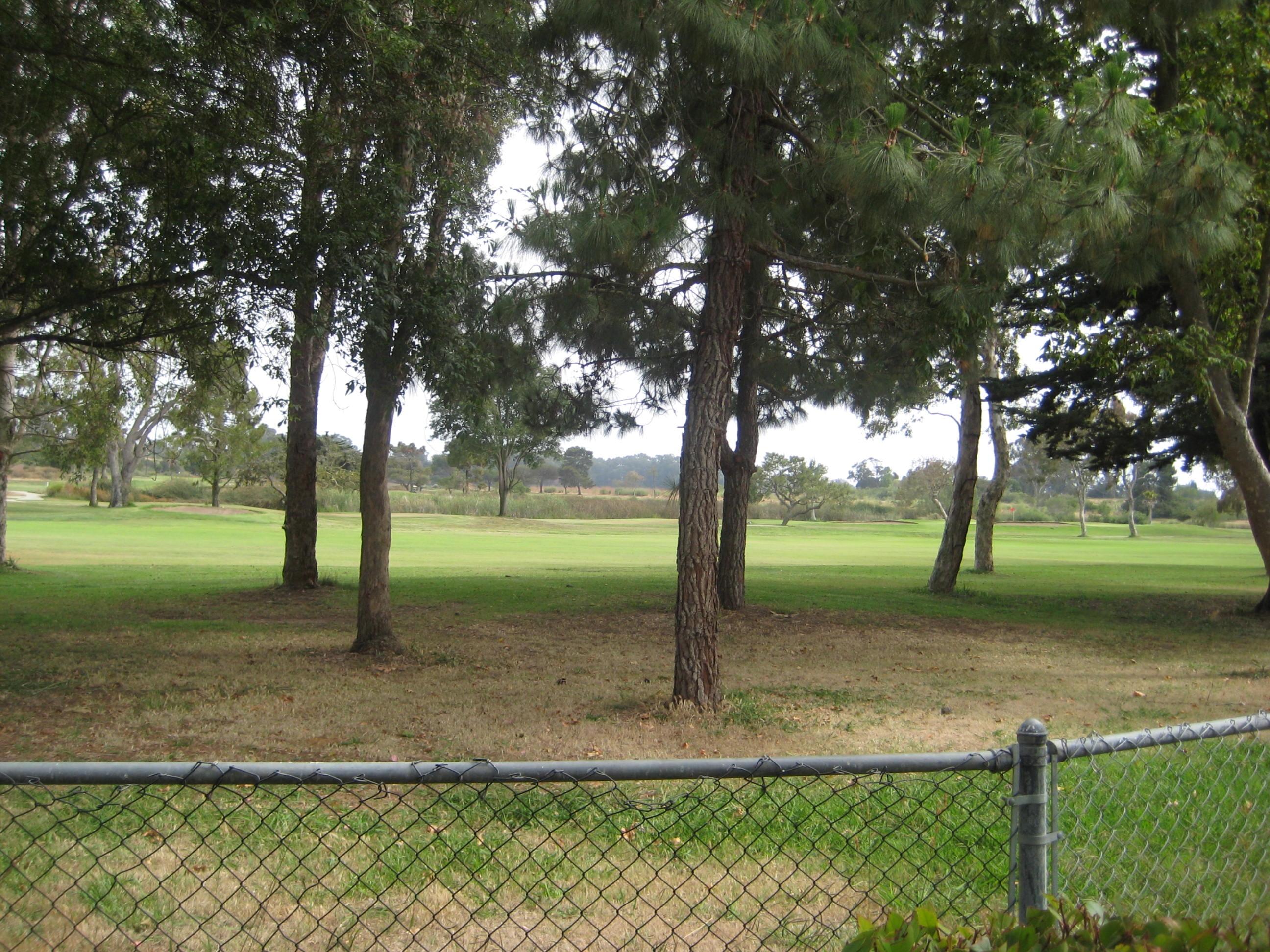 538 Mills Way Goleta, CA 93117 - Photo 17 of 17 a view of a garden with trees