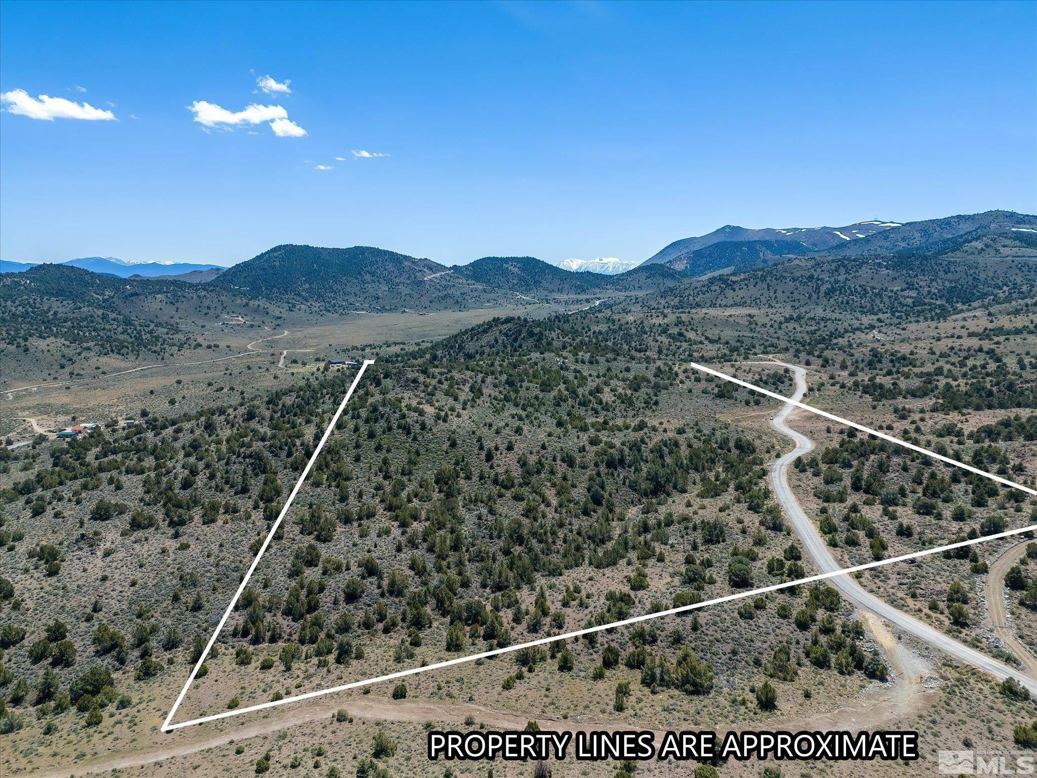 14 A Lousetown Road Reno, NV 89521 - Photo 3 of 7 a view of a forest