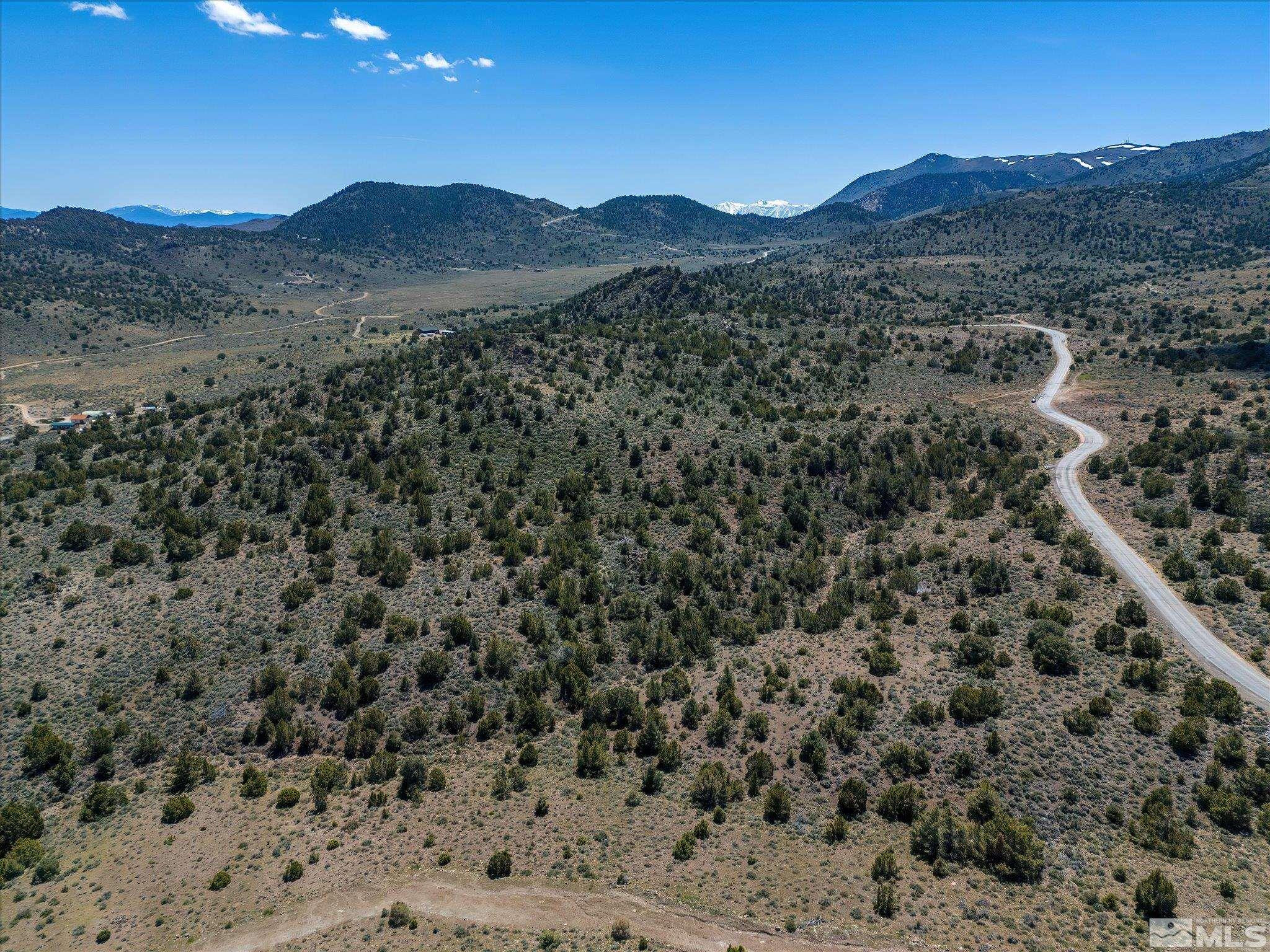 14 A Lousetown Road Reno, NV 89521 - Photo 6 of 7 a view of a forest with mountains in the background