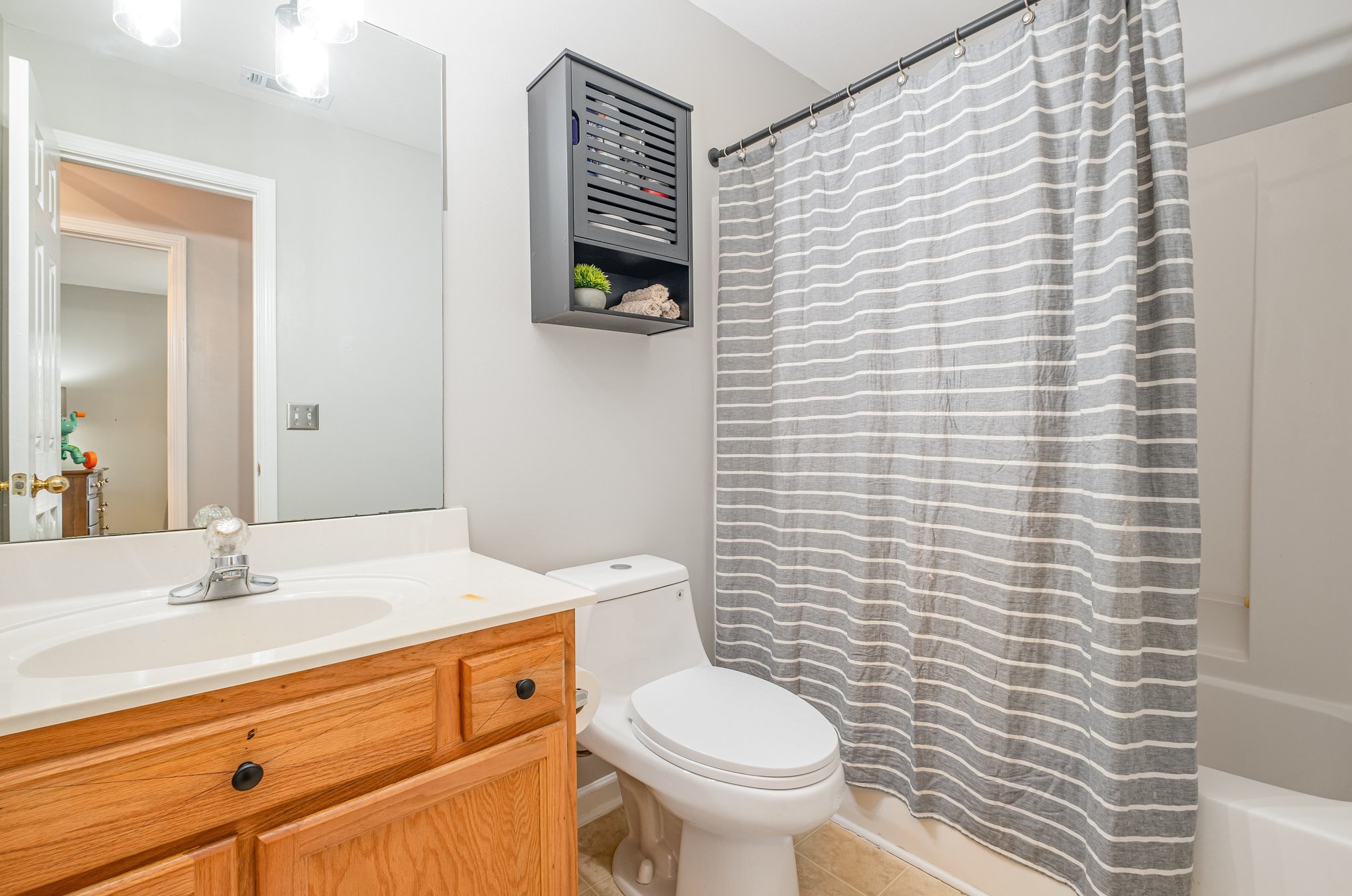 1312 Chapman Court Spring Hill, TN 37174 - Photo 18 of 27 a bathroom with a sink a toilet and mirror