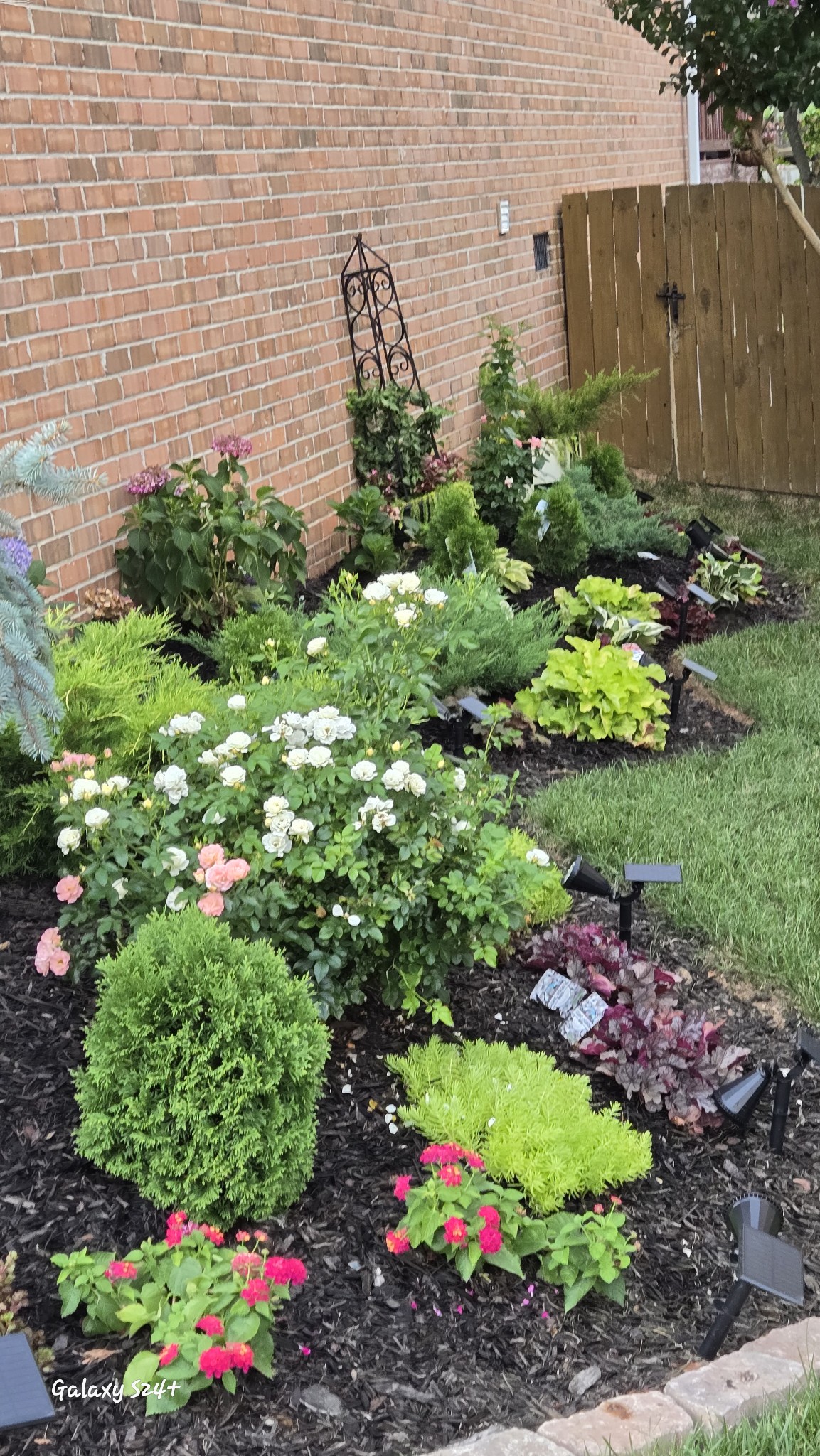 1312 Chapman Court Spring Hill, TN 37174 - Photo 22 of 27 a view of a garden with a flower