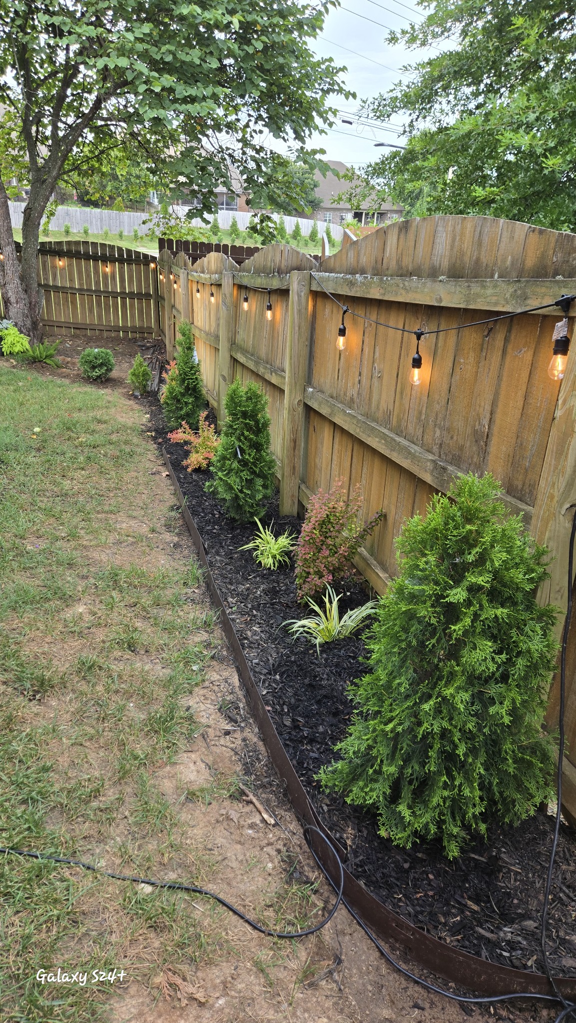 1312 Chapman Court Spring Hill, TN 37174 - Photo 24 of 27 a view of a garden