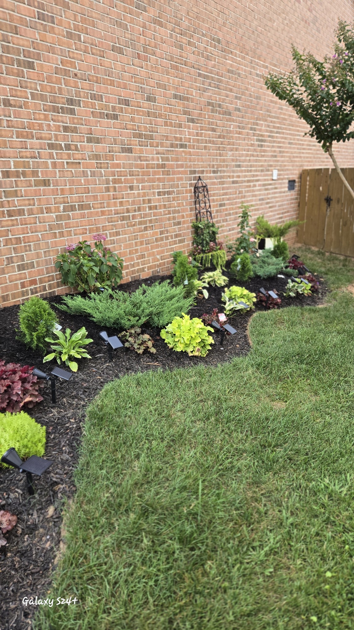 1312 Chapman Court Spring Hill, TN 37174 - Photo 25 of 27 a view of a garden with a building in the background
