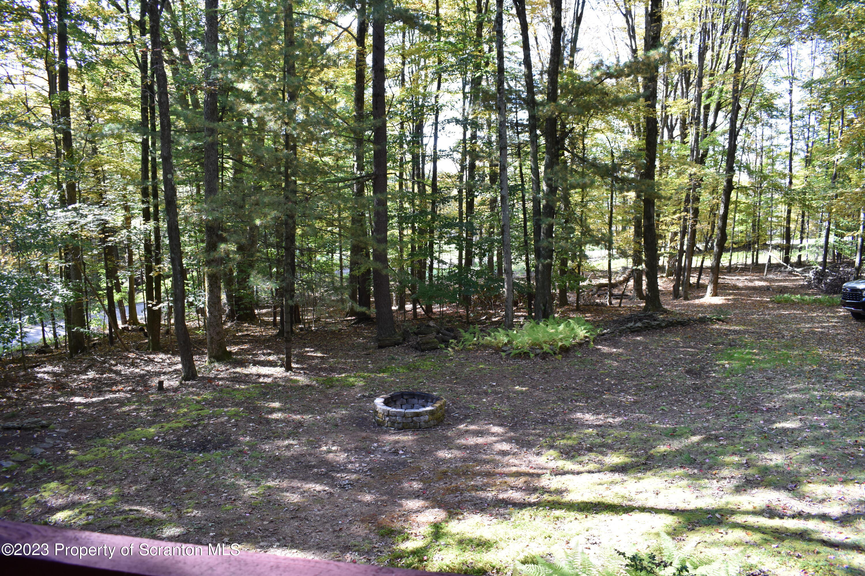 547 Camp Road New Milford, PA 18834 - Photo 19 of 27 a view of a tree in the middle of a yard