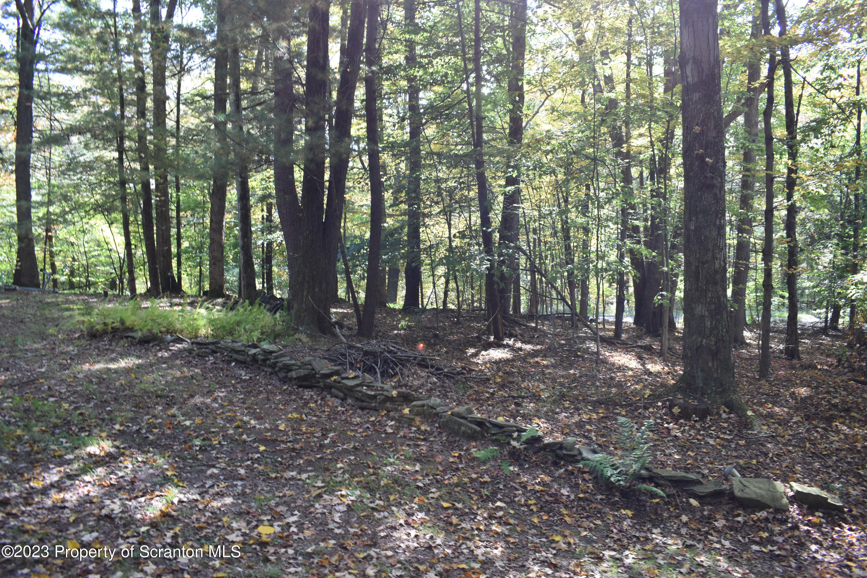 547 Camp Road New Milford, PA 18834 - Photo 20 of 27 a view of outdoor space and green space