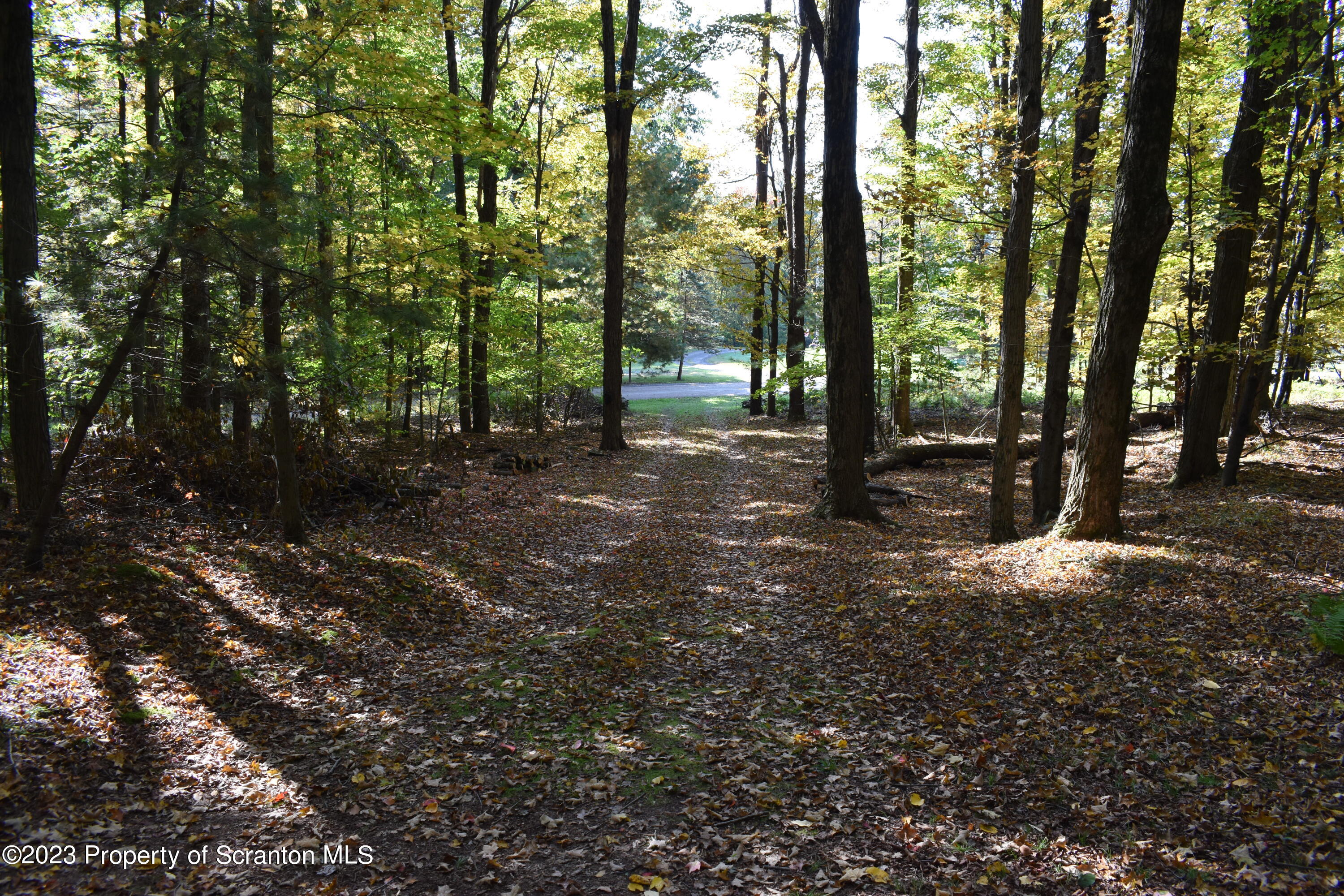 547 Camp Road New Milford, PA 18834 - Photo 21 of 27 a view of outdoor space and trees