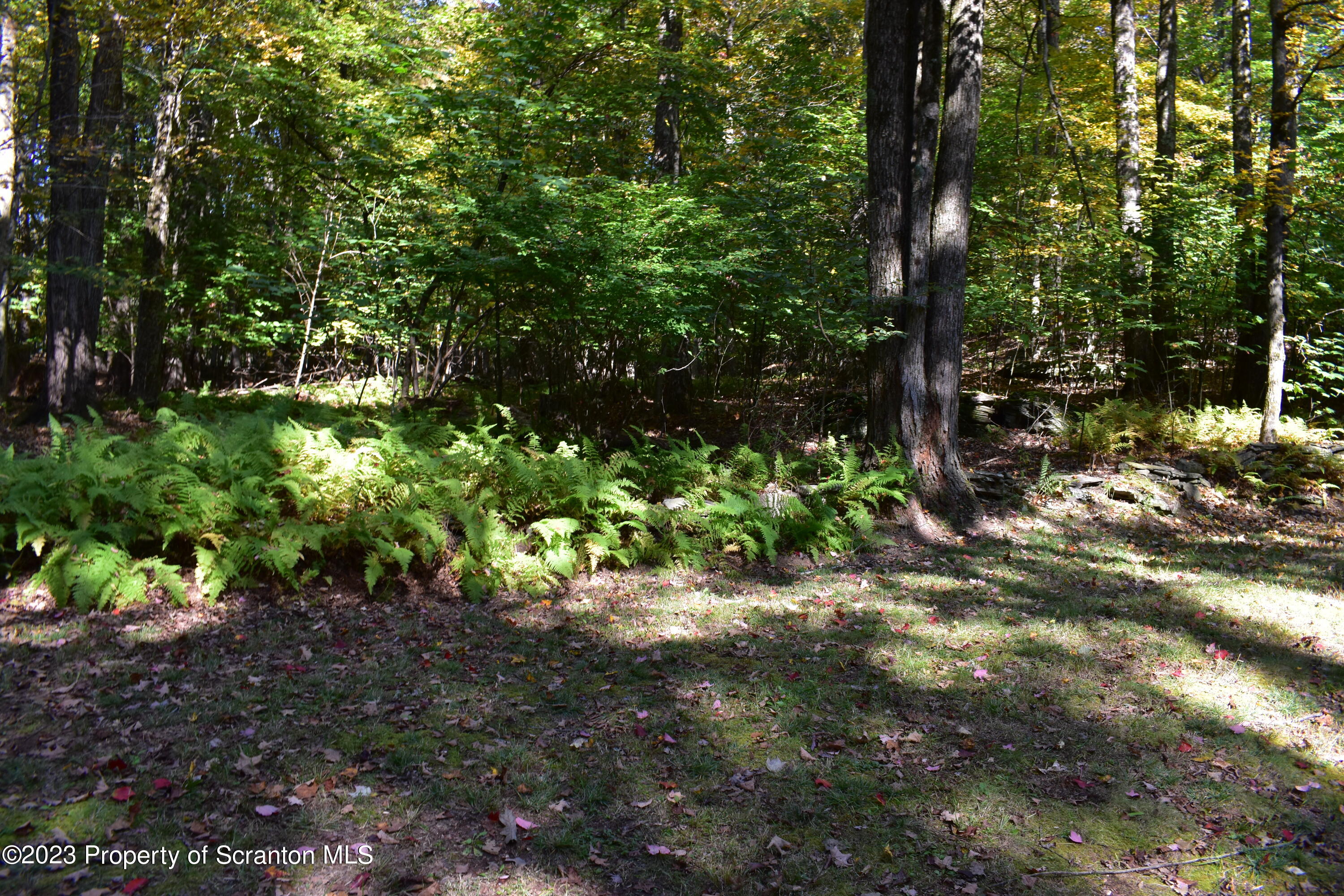 547 Camp Road New Milford, PA 18834 - Photo 23 of 27 a view of a garden with plants