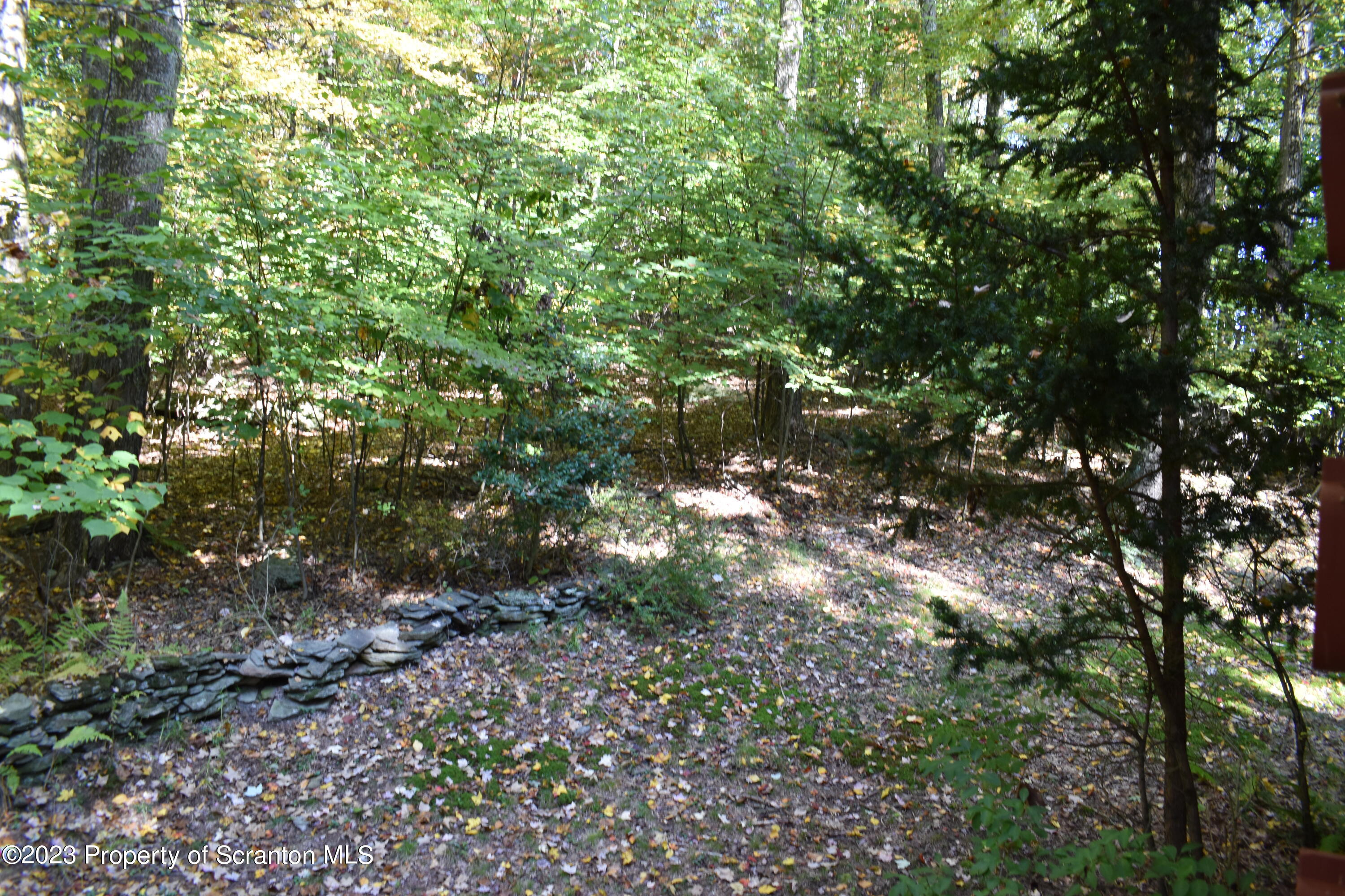 547 Camp Road New Milford, PA 18834 - Photo 24 of 27 a view of a tree