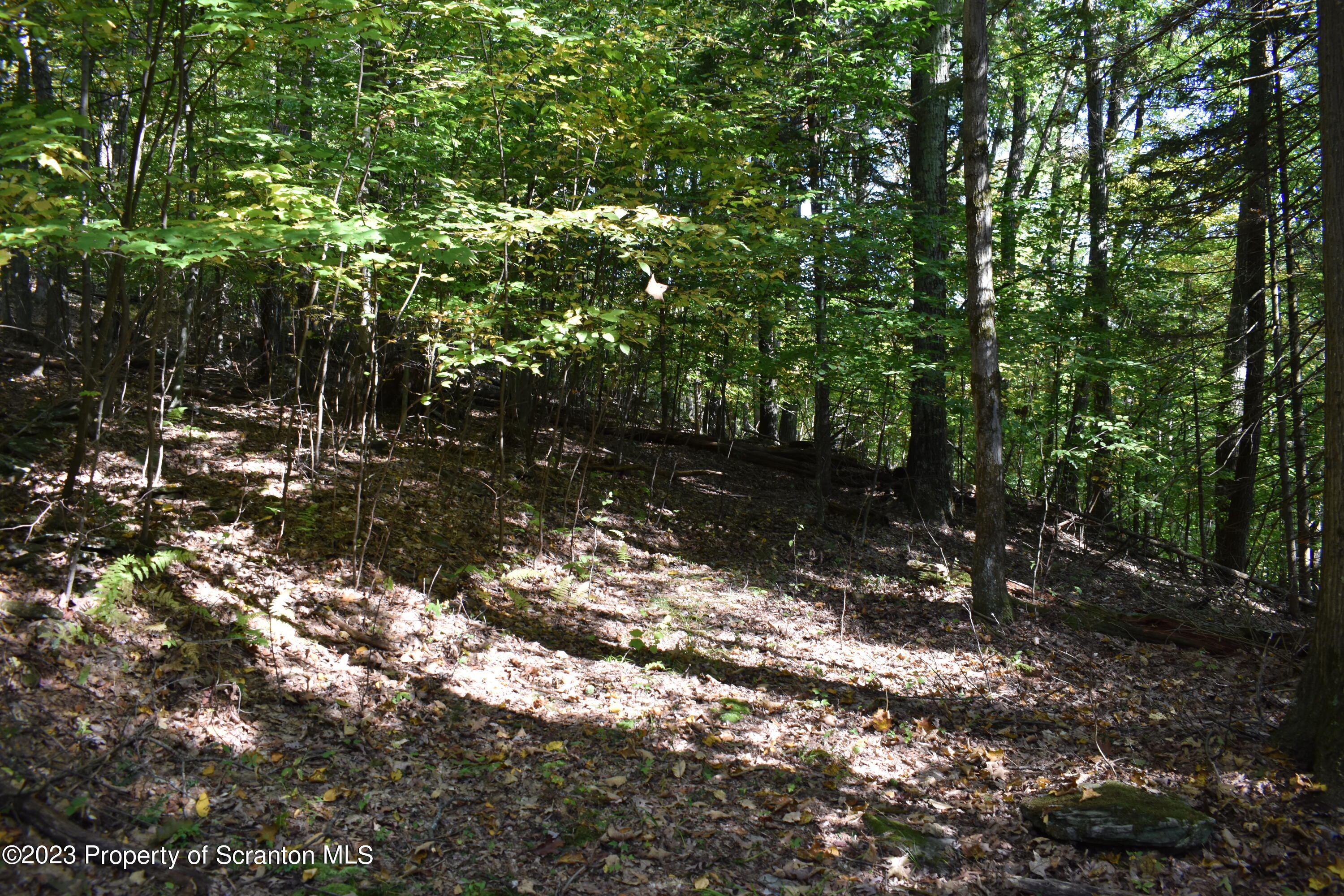 547 Camp Road New Milford, PA 18834 - Photo 25 of 27 a view of a tree in a yard
