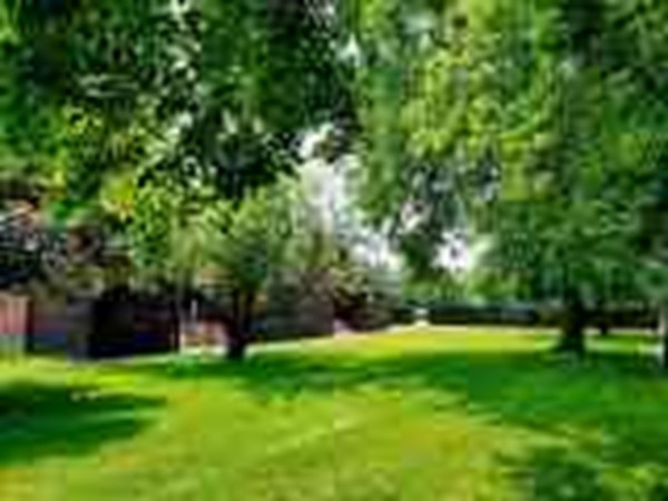 100 Pierce Road, Unit 100 Watertown, MA 02472 - Photo 6 of 17 Gallery Image 6