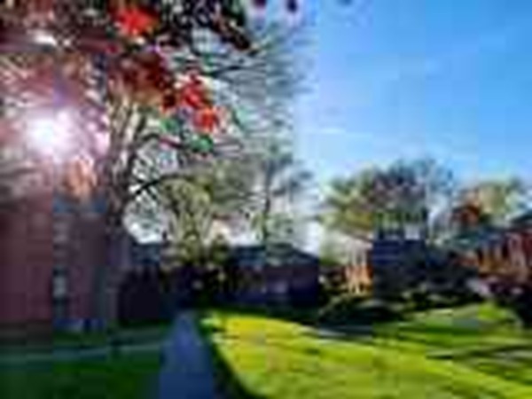 100 Pierce Road, Unit 100 Watertown, MA 02472 - Photo 7 of 17 Gallery Image 7