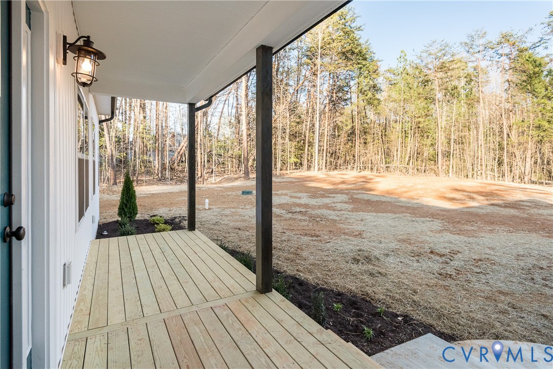 Lot 1 Three Chopt Road Louisa, VA 23093 - Photo 3 of 37 Expansive rear yard with mature tree line