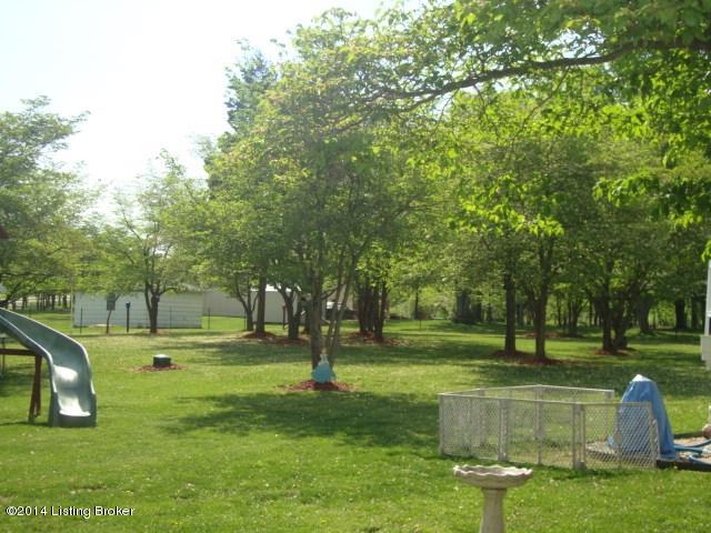 125 Buck Knobs Road Ekron, KY 40117 - Photo 37 of 45 back yard