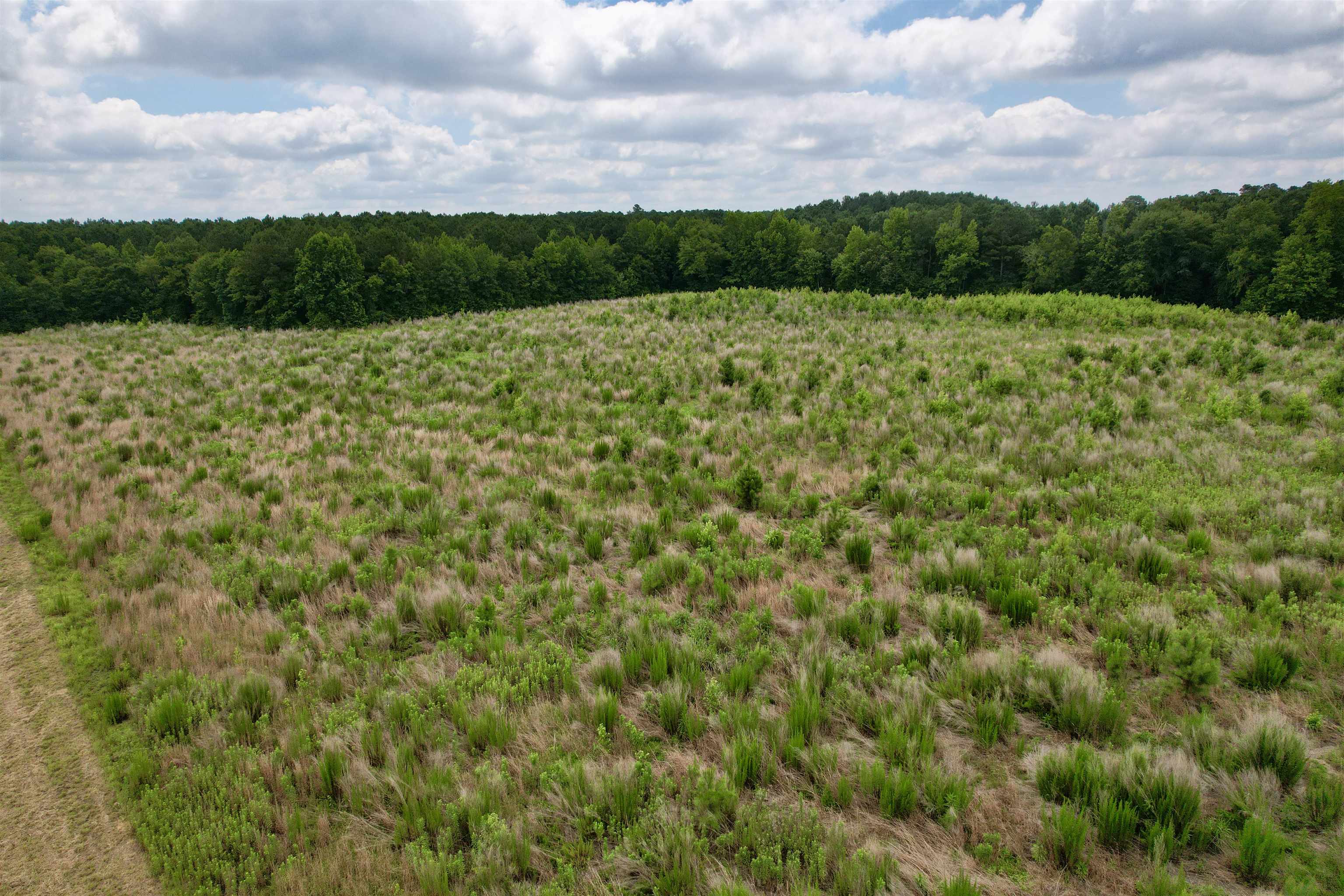 0 Powell Rd Green Green Sea, SC 29545 - Photo 54 of 72