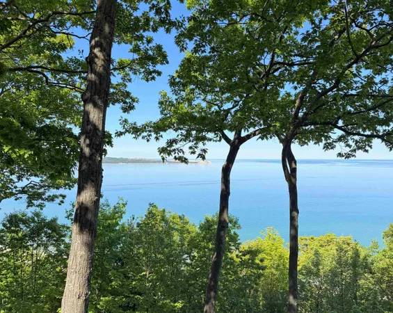 $695,000 | 9 Ridge Top, Maple City, MI 49664