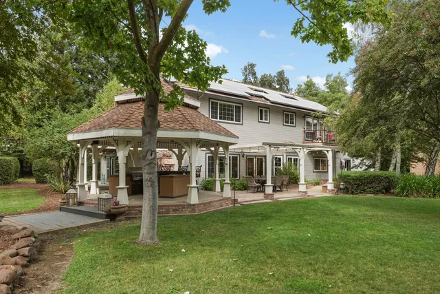 a view of a trees in a yard