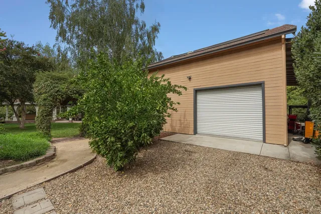 a view of backyard and tree