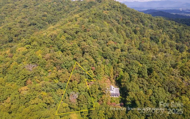a backyard of a house with lots of green space and trees