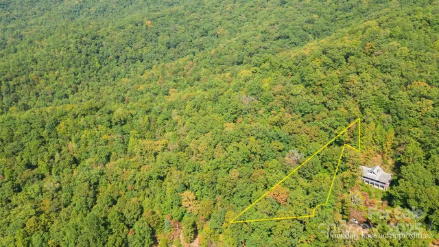a close up of a lush green field