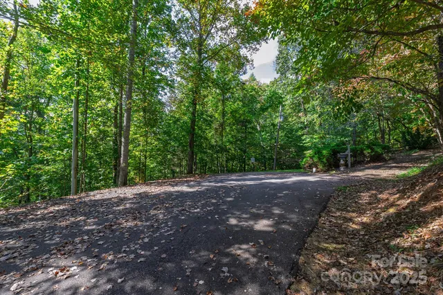 a view of a yard with large trees