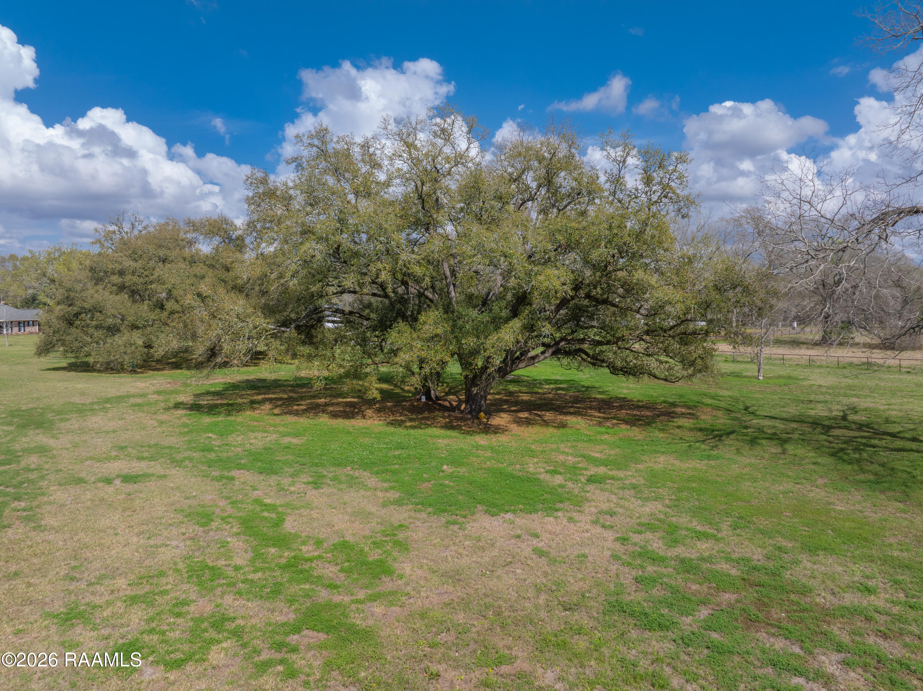 Tbd Sandpiper Place Sunset, LA 70584 - Photo 3 of 15 4 Mature Oak Trees