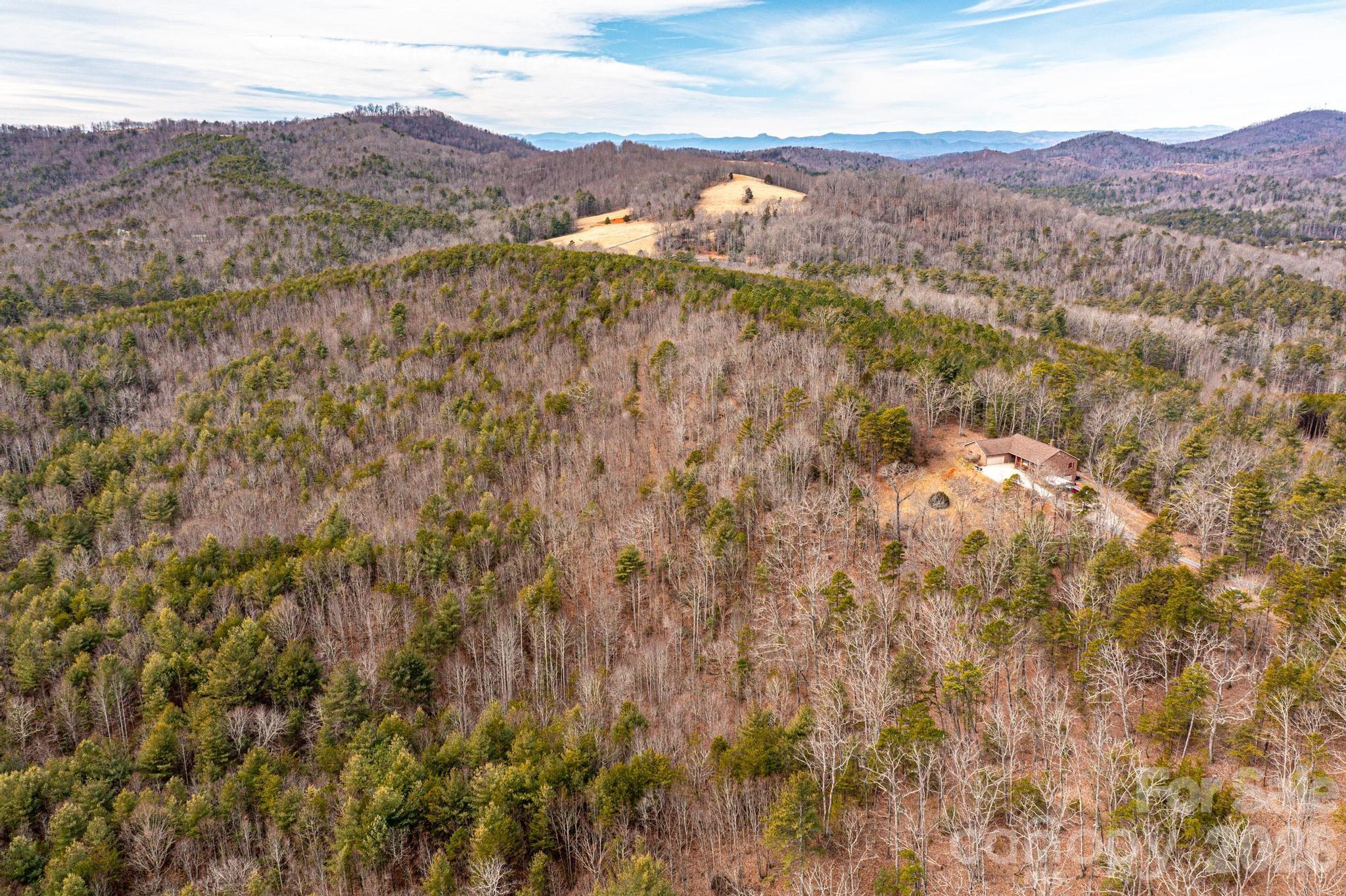3941 Fox Winkler Road Lenoir, NC 28645 - Photo 17 of 20 a view of a lush green hillside and a houses
