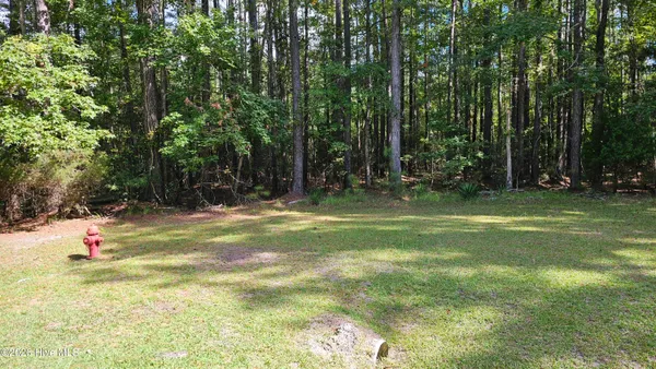 $39,900 | 168 Arnetta Way, Oriental, NC 28571