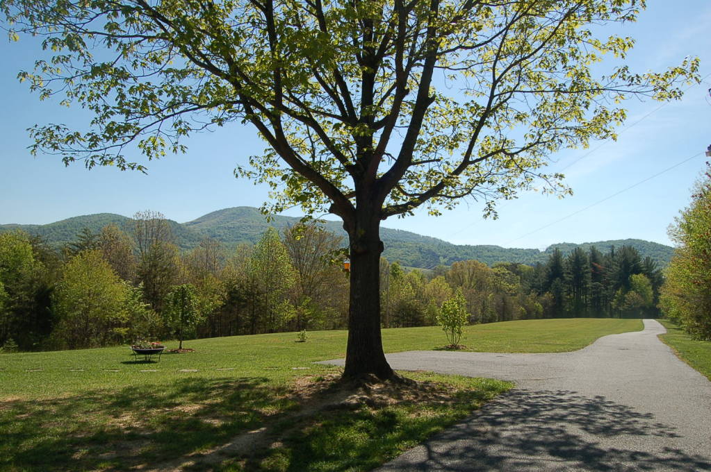 1576 Beale Trail Road Montvale, VA 24122 - Photo 15 of 16 Driveway View
