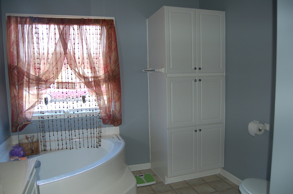 1576 Beale Trail Road Montvale, VA 24122 - Photo 10 of 16 Master Bathroom