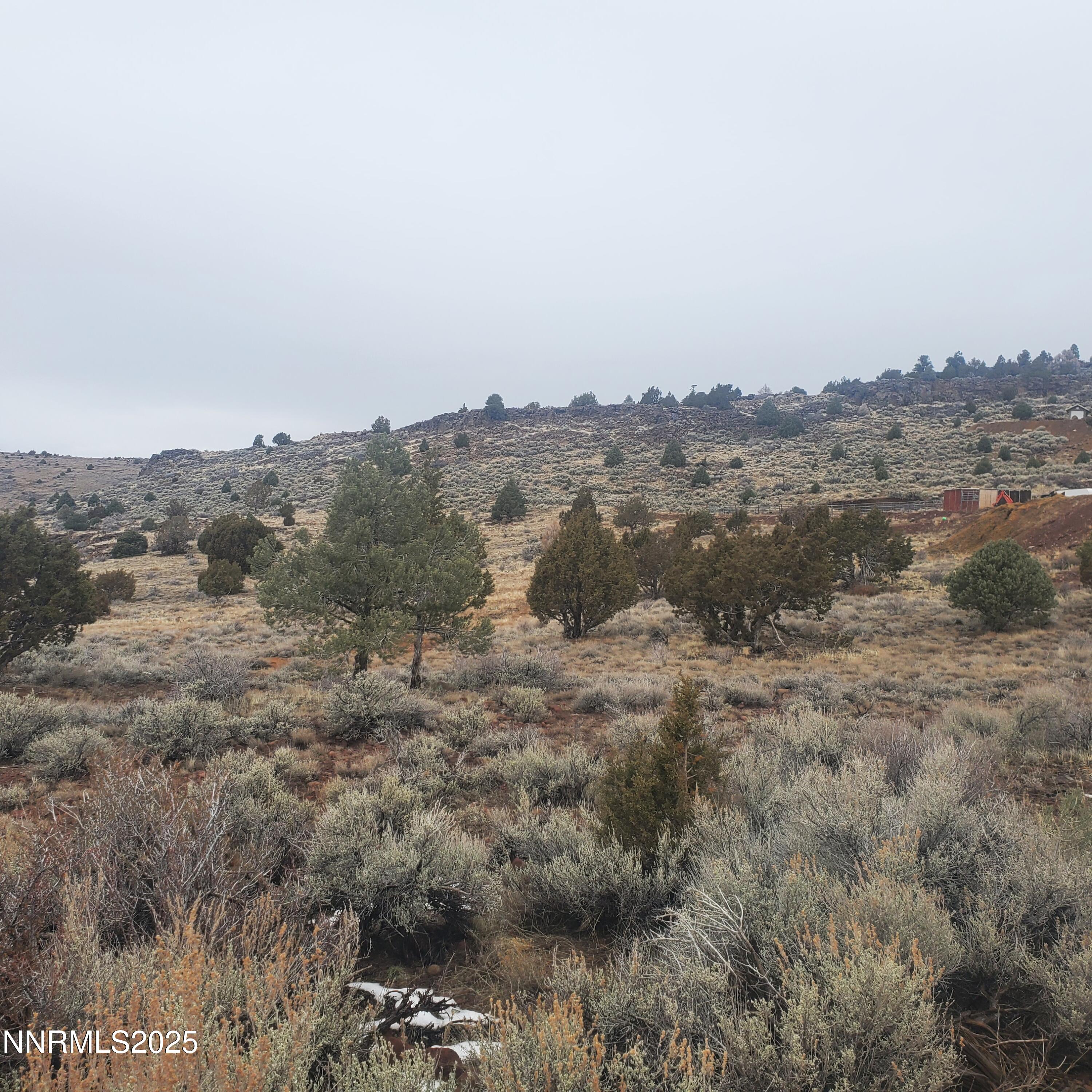 3460 Cartwright Road Reno, NV 89521 - Photo 3 of 3 cartwright 3