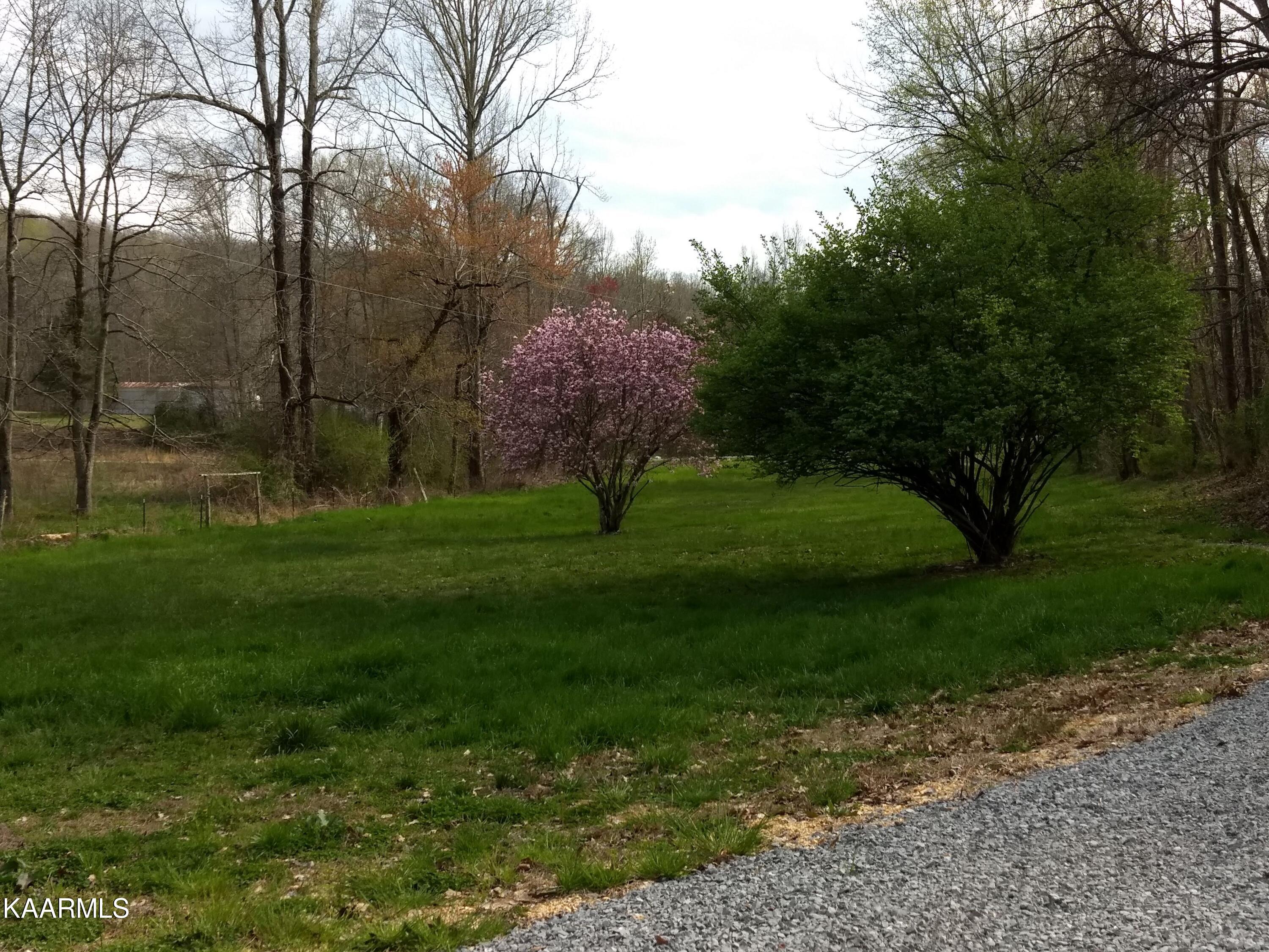 200 County Road 179 Decatur, TN 37322 - Photo 13 of 13 IMG_20190330_170045313
