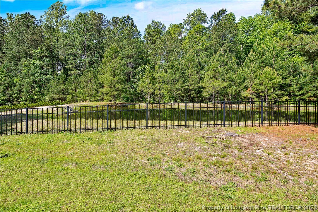 164 Valley Stream Road Spring Lake, NC 28390 - Photo 48 of 49 a view of a yard with a small pool