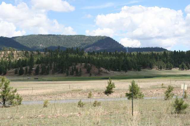 E East Lake View Alpine, AZ 85920 - Photo 1 of 5