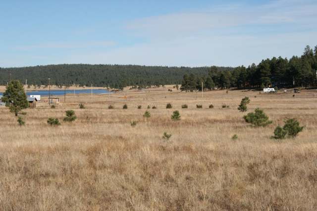 E East Lake View Alpine, AZ 85920 - Photo 2 of 5