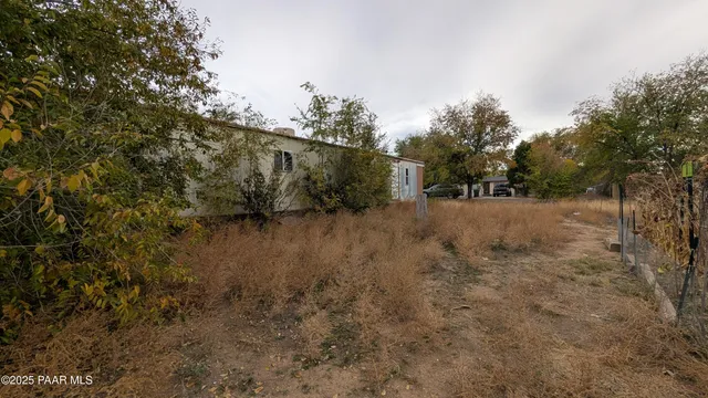 a view of a yard with plants and trees