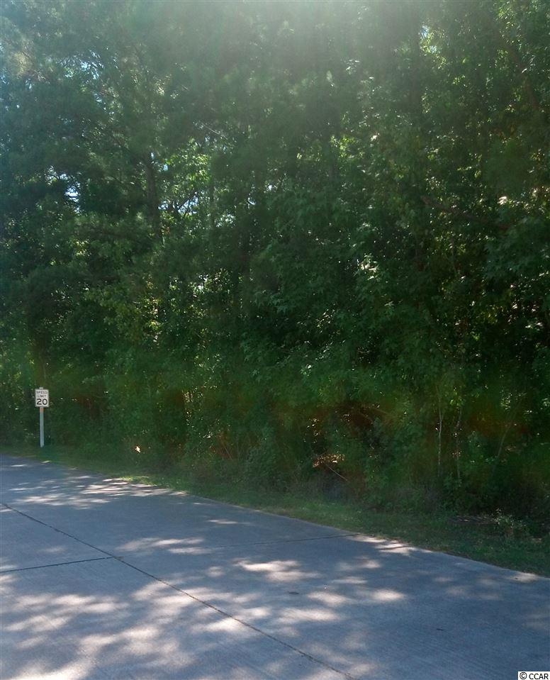 Lot 1 Saluda River Road Myrtle Beach, SC 29588 - Photo 1 of 1 Gallery Image 1
