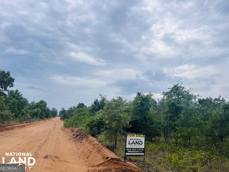 0 Field Road Mauk, GA 31058 - Photo 1 of 1 Gallery Image 1