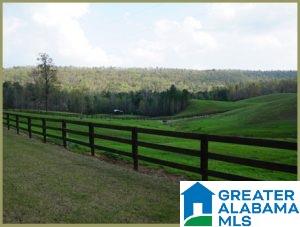 1501 Mystic Valley View Sterrett, AL 35147 - Photo 5 of 6
