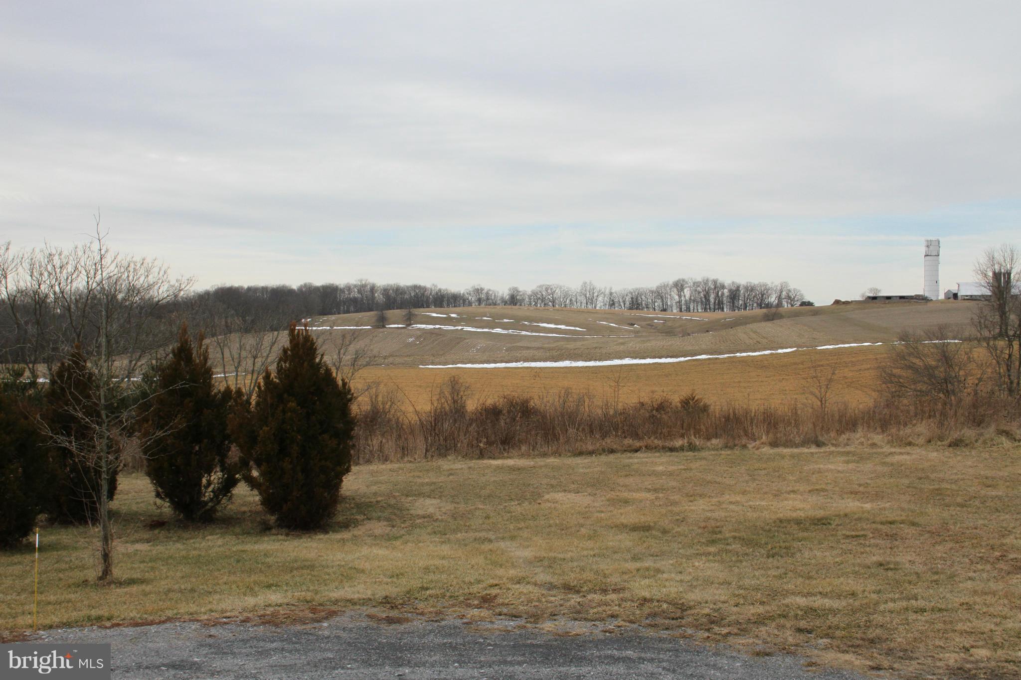 6441 Dickerson Road Dickerson, MD 20842 - Photo 10 of 13 View