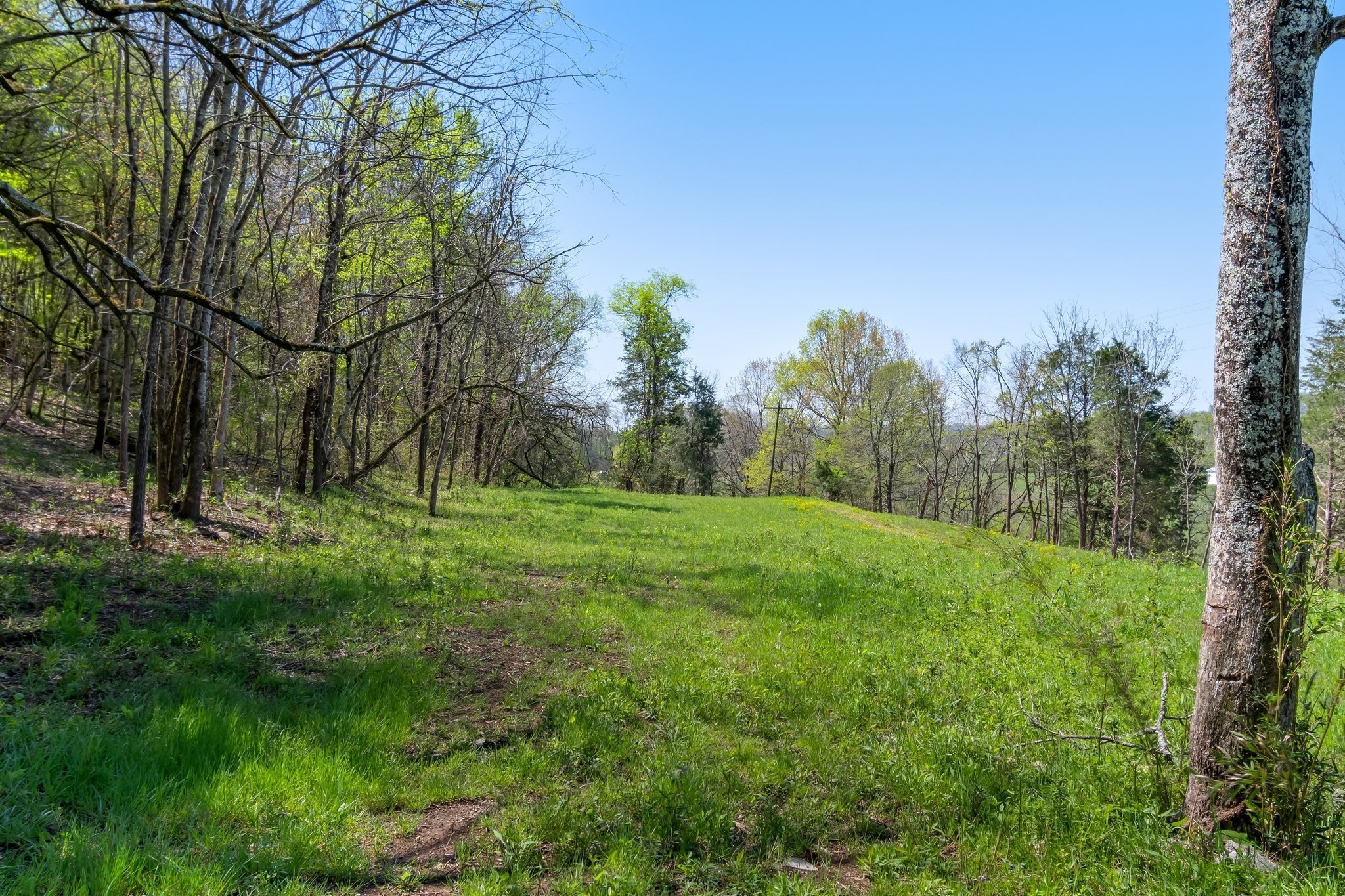 2819 B Yell Road Lewisburg, TN 37091 - Photo 15 of 24