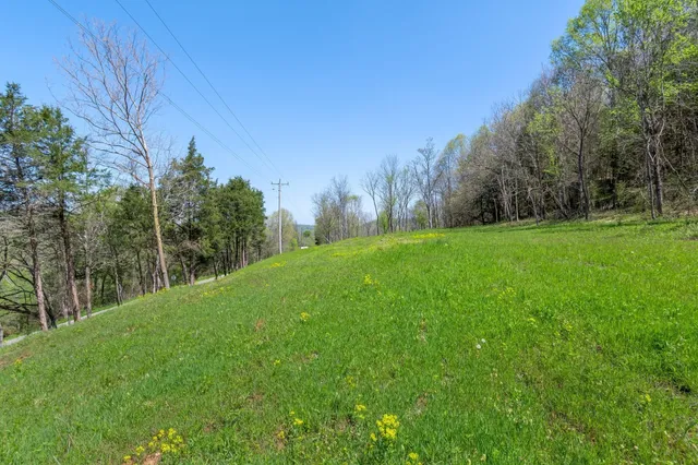 a view of a field of grass and trees