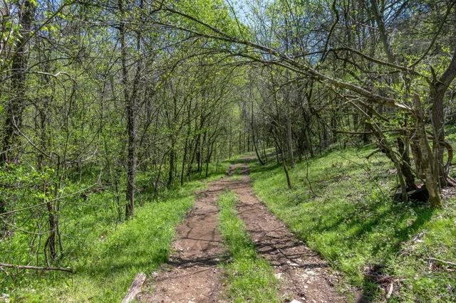 a view of park with trees