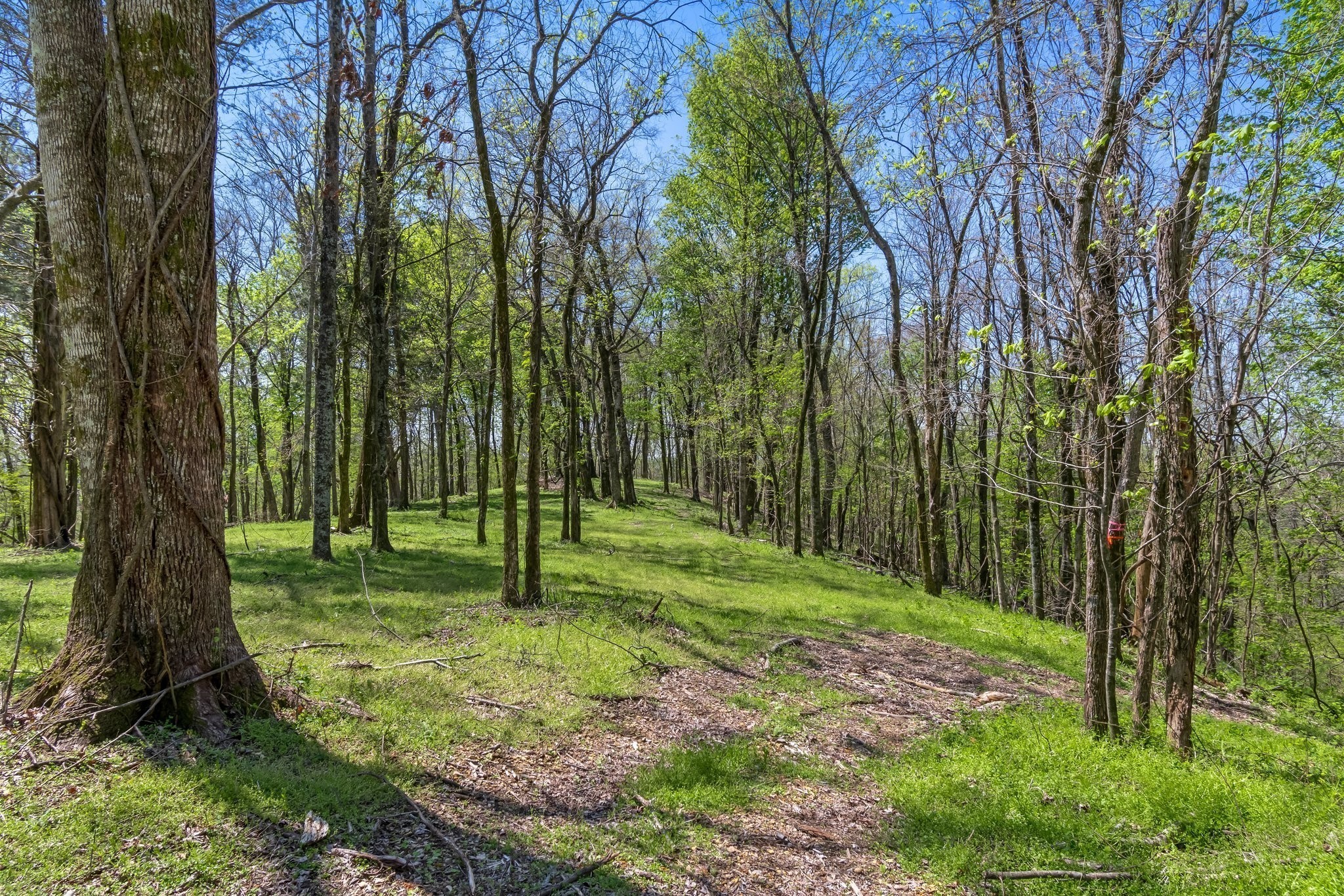 2819 B Yell Road Lewisburg, TN 37091 - Photo 20 of 24